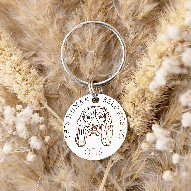 This Human Belongs To, Personalized Pet Keyring