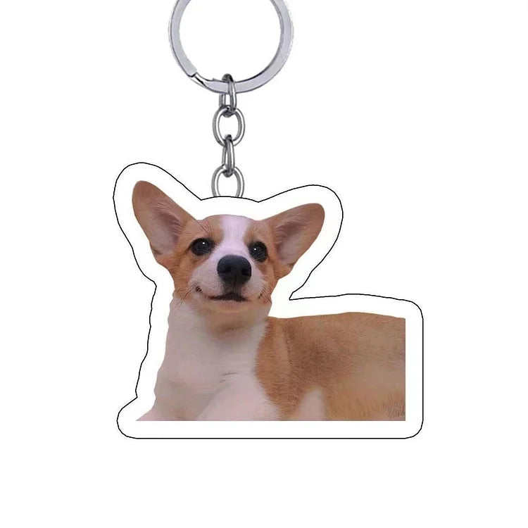 Customized Pet Photo Acrylic Keychain